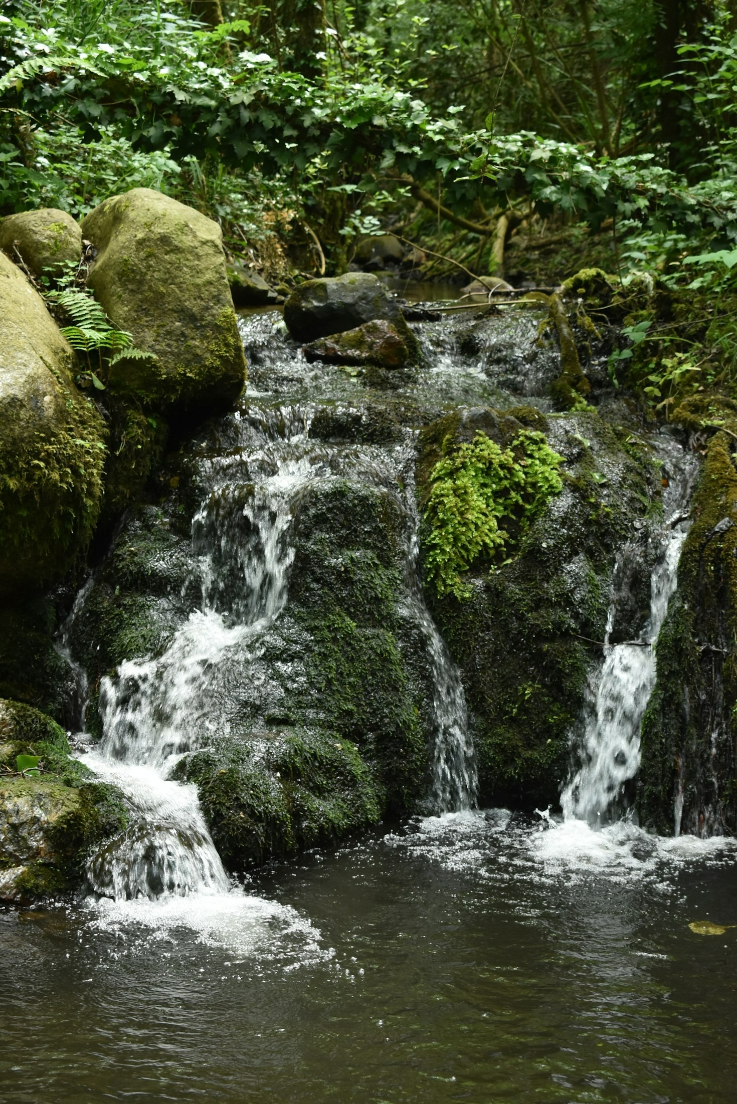 Parque das Dunas: um refúgio de biodiversidade